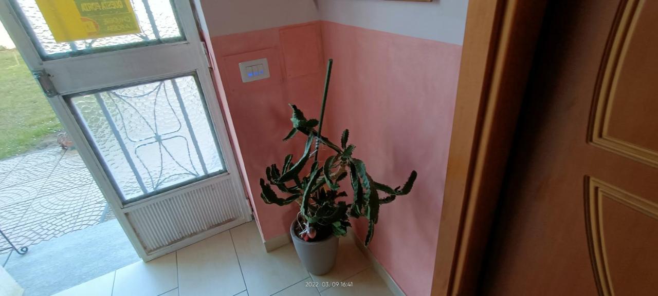 La Magnolia B&B Gassino Torinese Eksteriør bilde