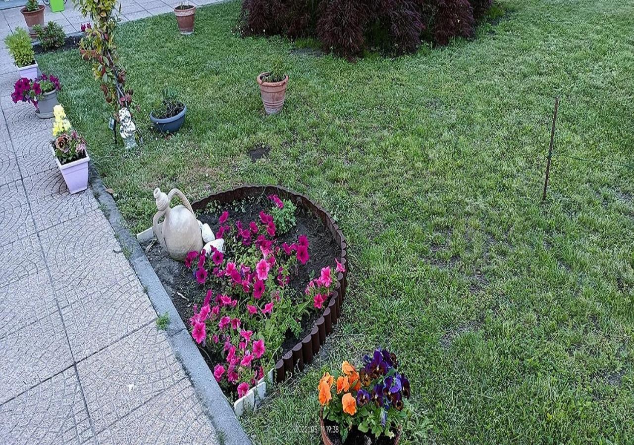 La Magnolia B&B Gassino Torinese Eksteriør bilde