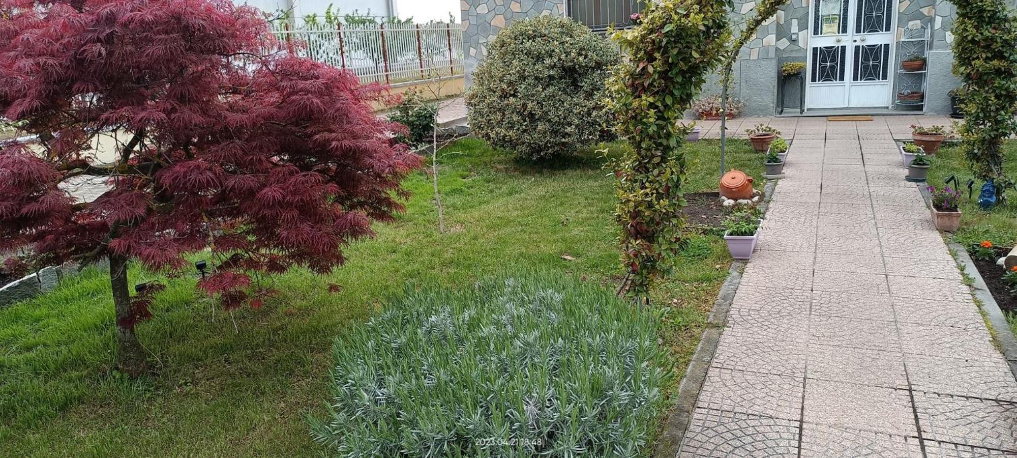 La Magnolia B&B Gassino Torinese Eksteriør bilde